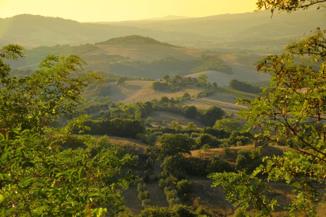 Querceto  Castello Ginori Di Querceto 아파트 외부 사진