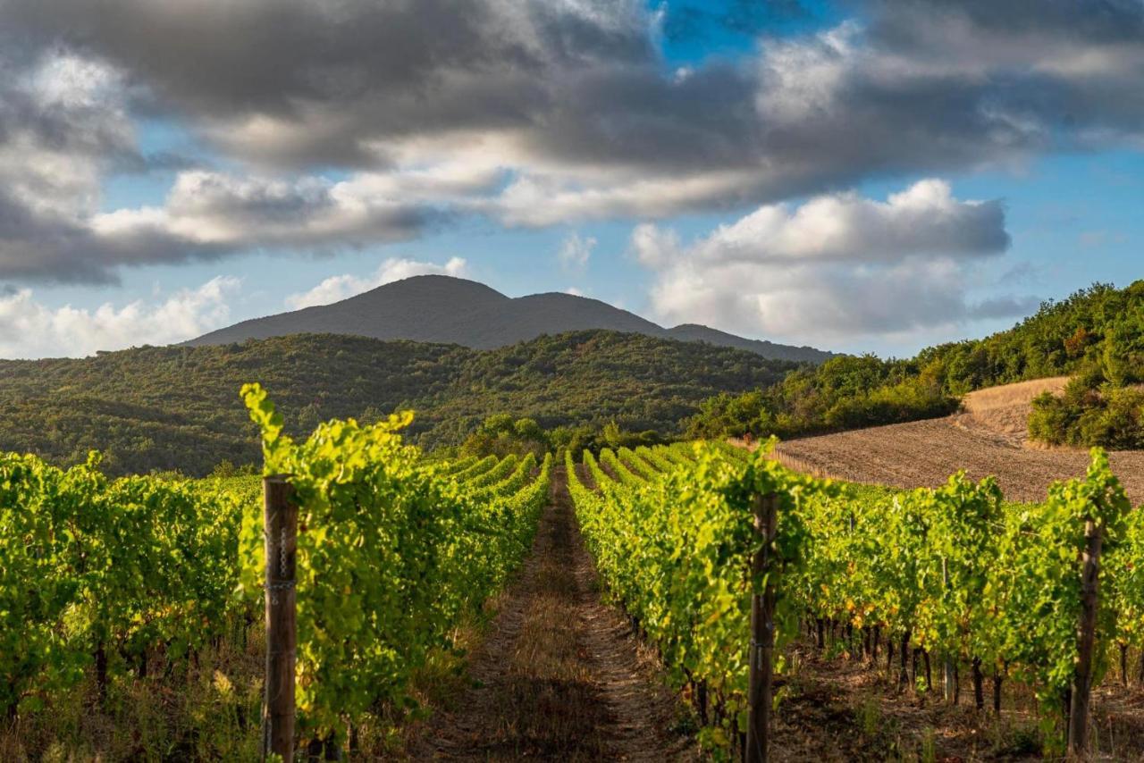 Querceto  Castello Ginori Di Querceto 아파트 외부 사진