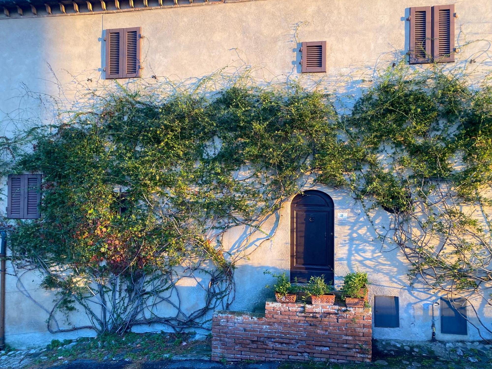 Querceto  Castello Ginori Di Querceto 아파트 외부 사진