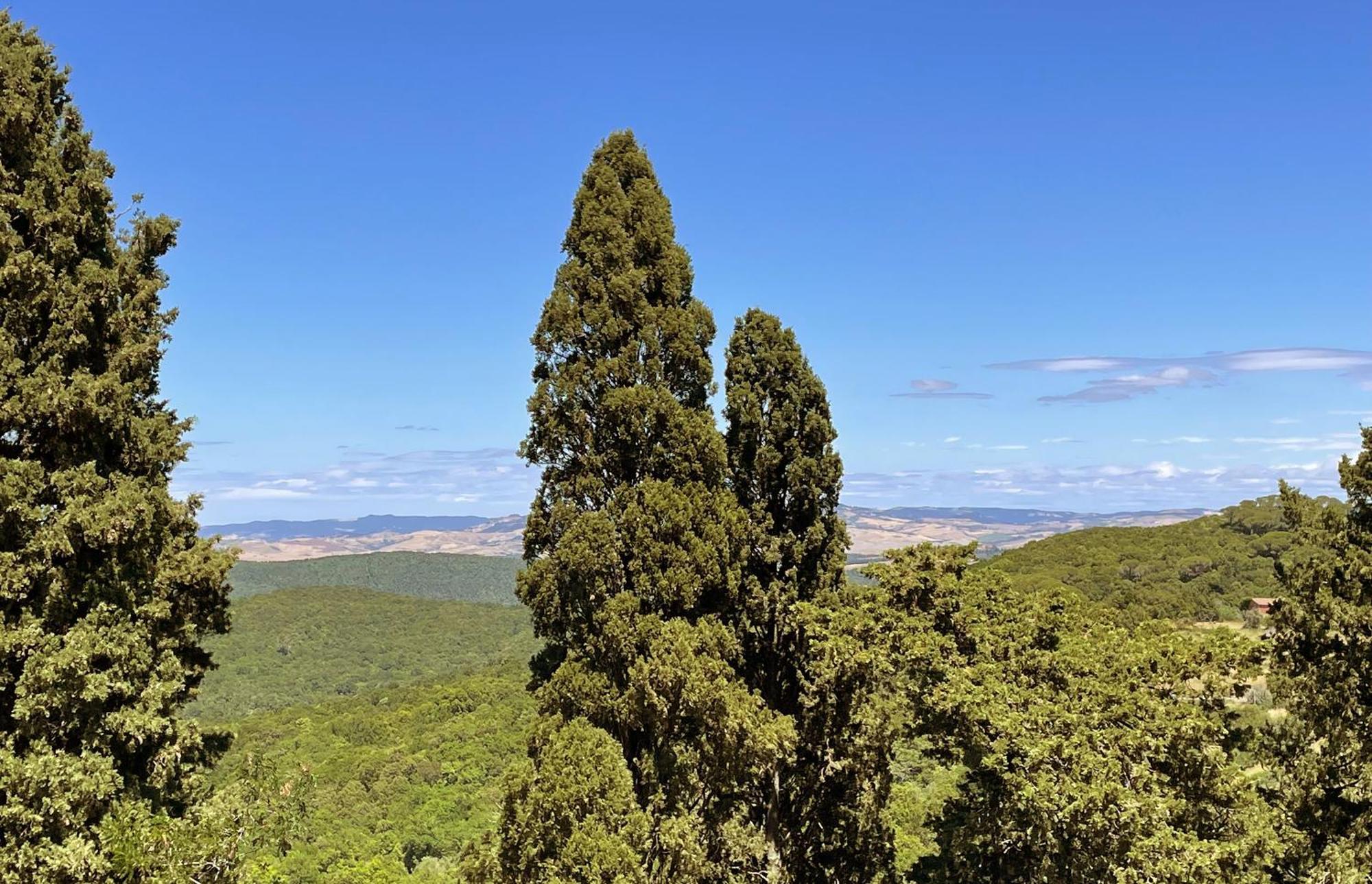 Querceto  Castello Ginori Di Querceto 아파트 외부 사진